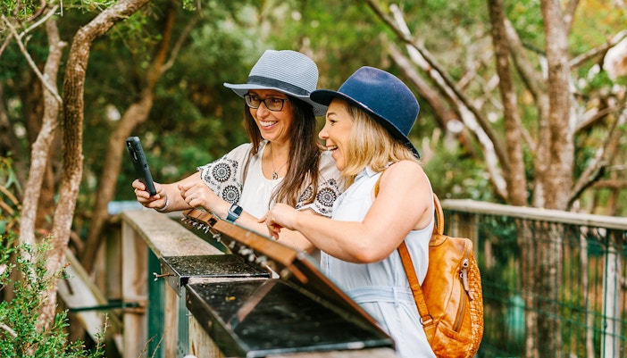 Visitors at the Koala Conservation Reserve in Phillip Island