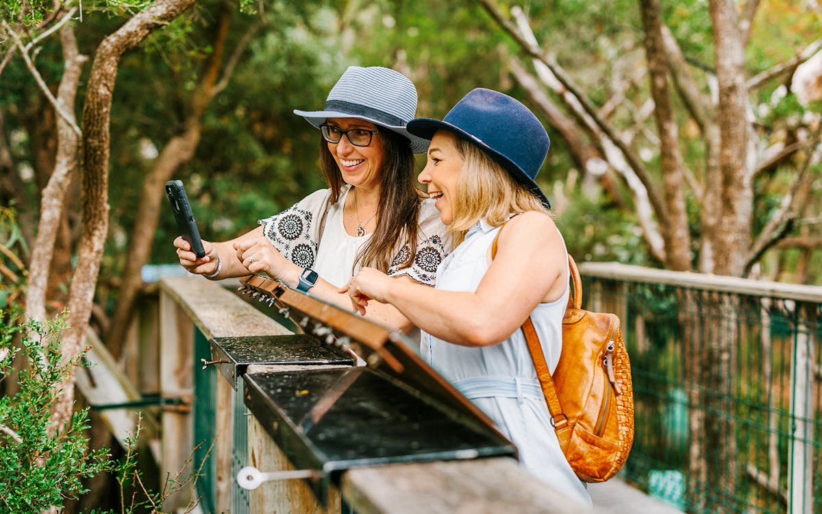 tickets to koala conservation reserve in phillip island-3 tickets to koala conservation reserve in phillip island-3