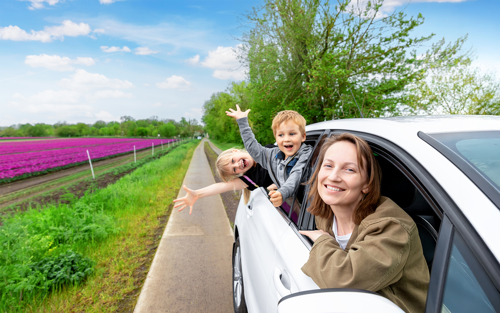 Mother with two children enjoying a drive by colorful tulip fields in the Netherlands.