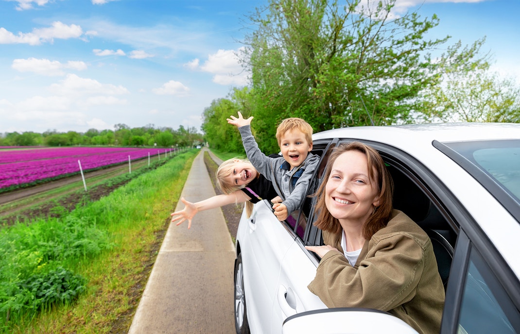Mother with two children enjoying a drive by colorful tulip fields in the Netherlands.