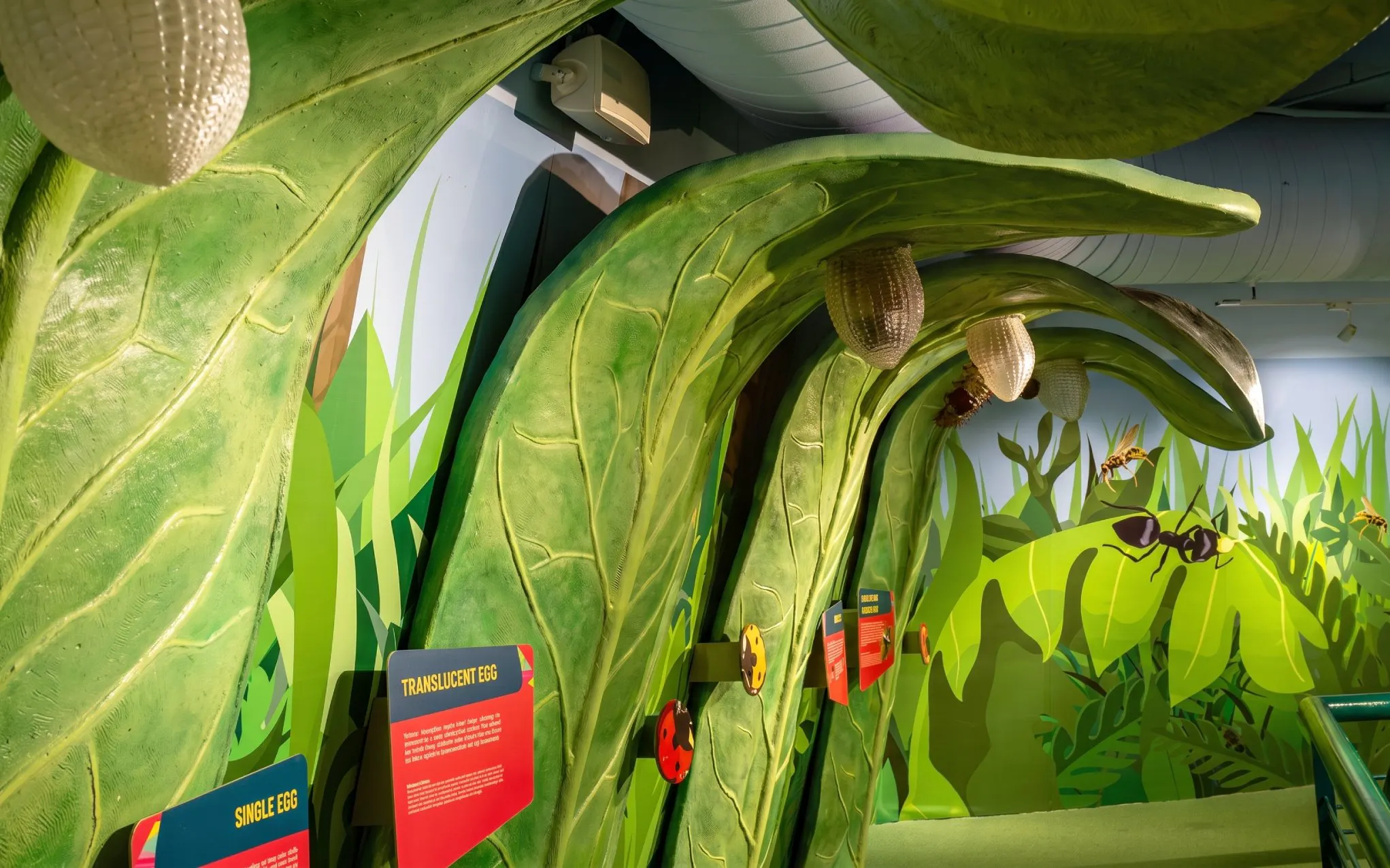 Interactive insect exhibit at Science Centre Singapore featuring large green leaves and educational displays.