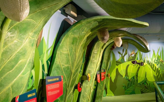 Interactive insect exhibit at Science Centre Singapore featuring large green leaves and educational displays.