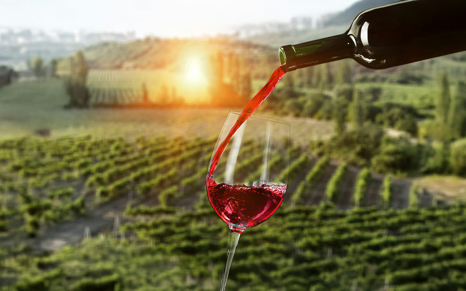 Pouring wine into a glass with Yarra Valley vineyard in the background, Australia.