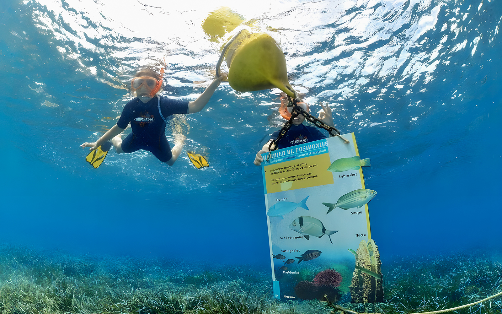Tour group snorkelling near an underwater sign in Nice and Monaco waters.