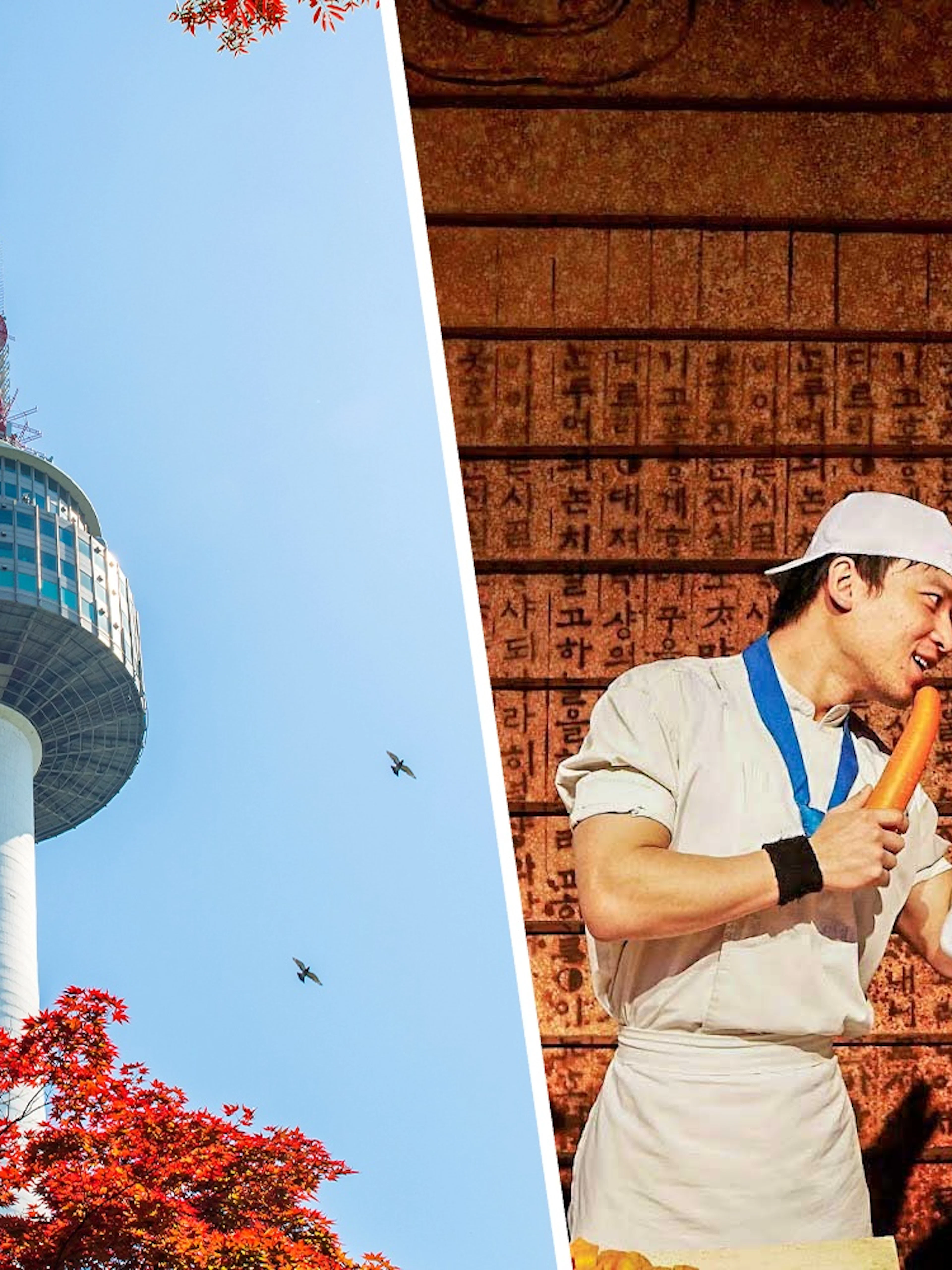 N Seoul Tower with red autumn leaves and birds in the sky.