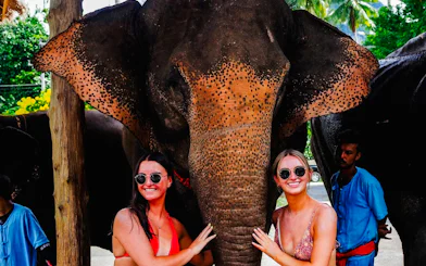 Visitors interacting with an elephant during a care and bathing experience in Krabi.