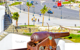 Cannon overlooking Tangier streets near Medina and Kasbah, with red tour buses and palm trees.