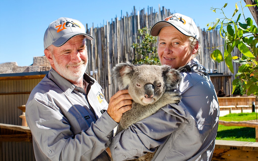 People holding a koala at Sydney Zoo.