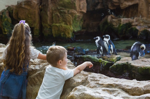 Entradas al Bioparco de Roma