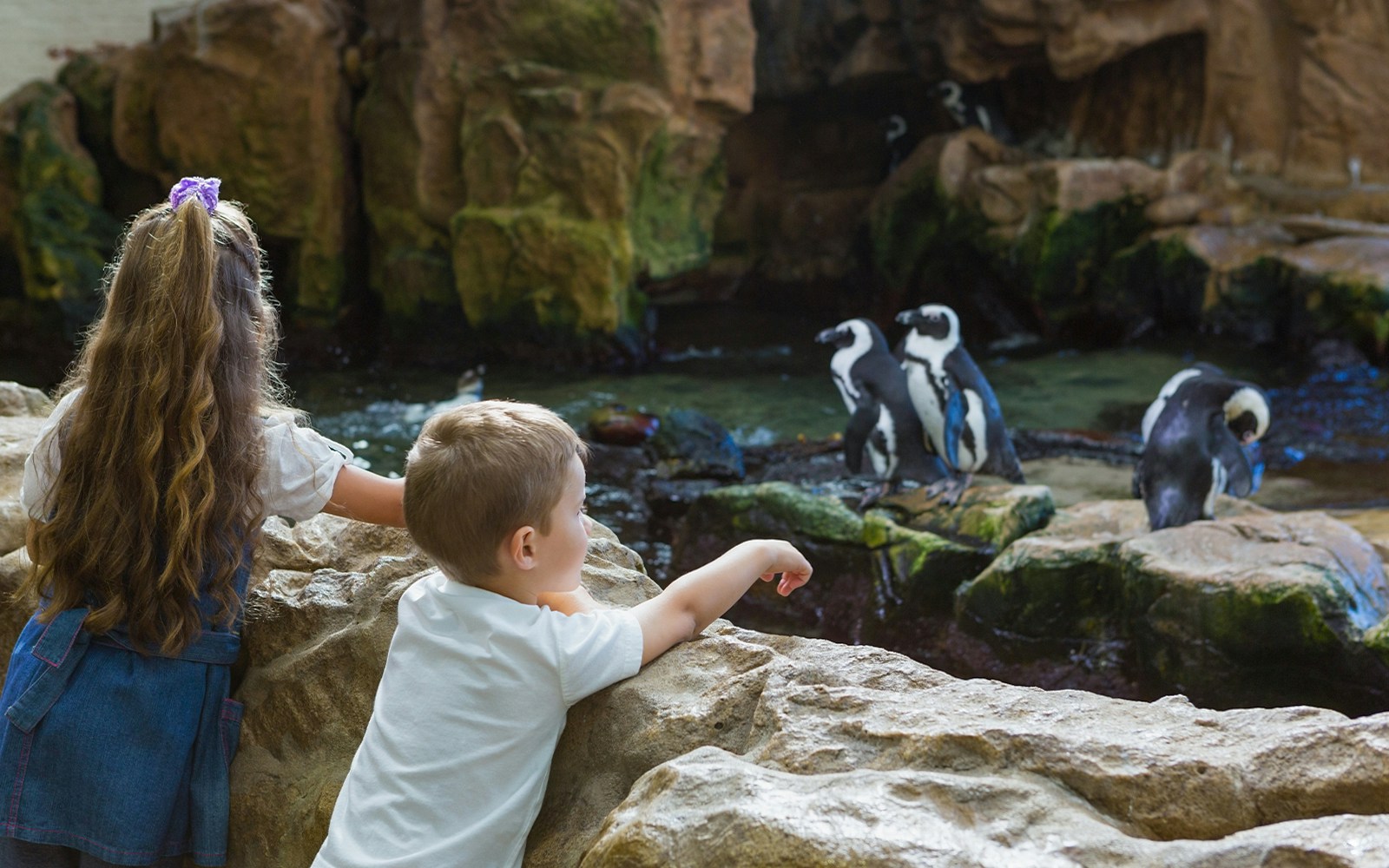Children observing penguins at Rome Bioparco.
