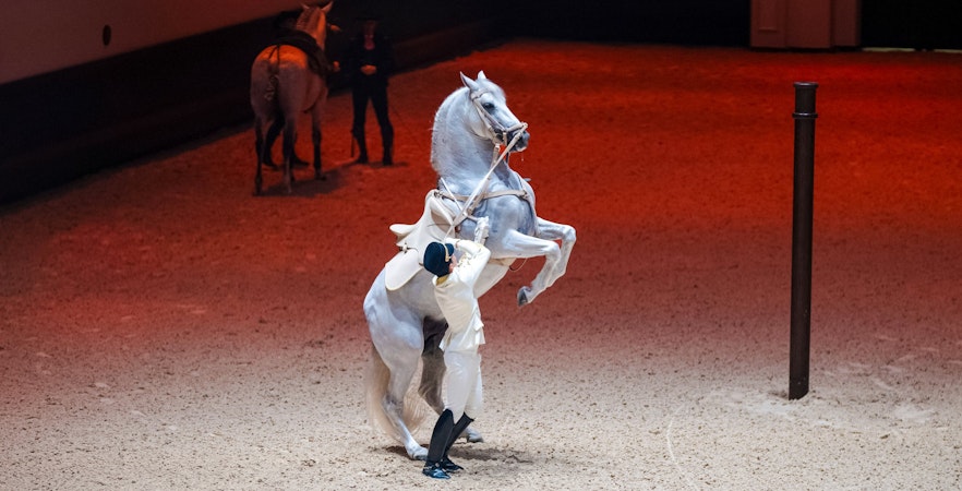 Ingressos para o Abu Dhabi Royal Equestrian Arts (ADREA)