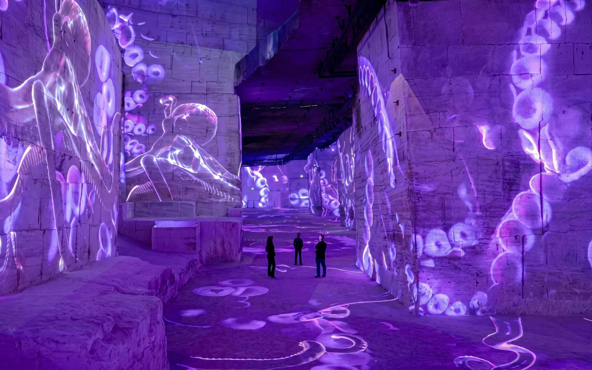Immersive ocean-themed projections at Carrières des Lumières exhibit in France.