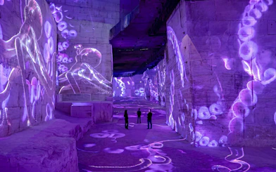 Immersive ocean-themed projections at Carrières des Lumières exhibit in France.