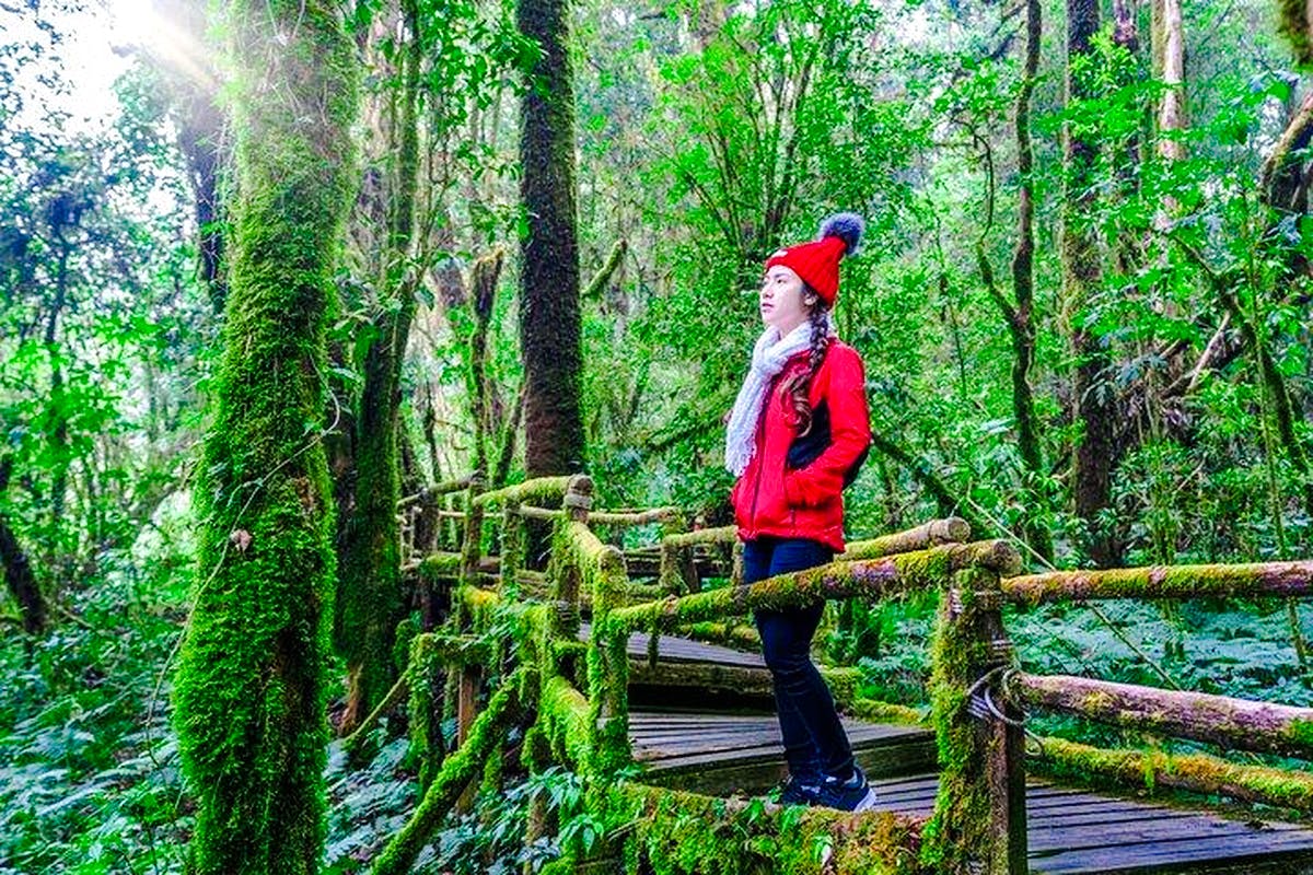chiang mai - doi inthanon full day tour-5