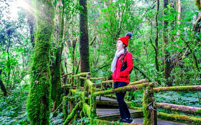 From Chiang Mai: Doi Inthanon National Park Small-Group Day Trip