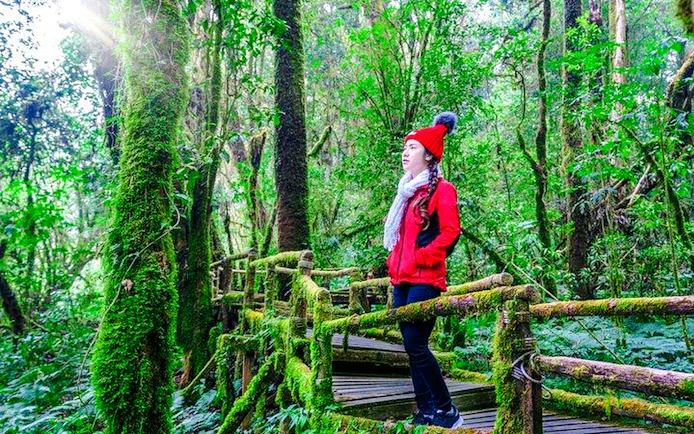 From Chiang Mai: Doi Inthanon National Park Small-Group Day Trip