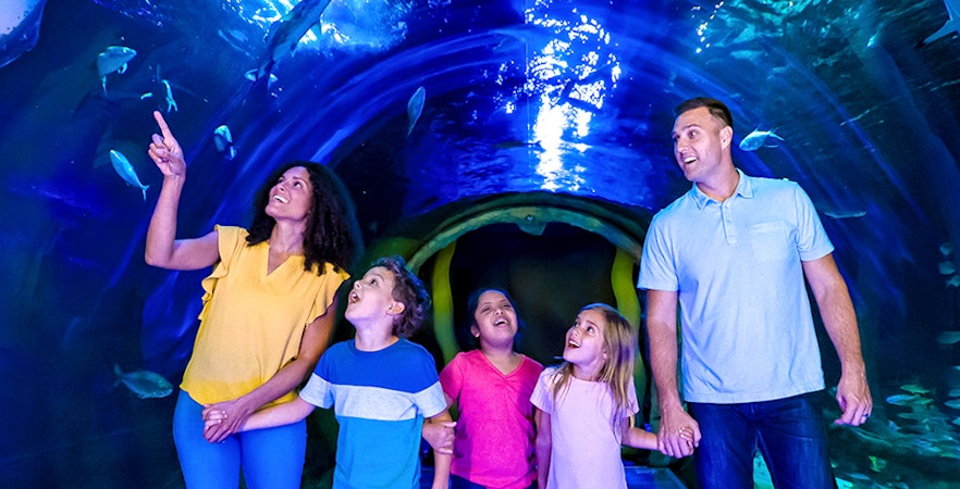 Billets SEA LIFE Orlando