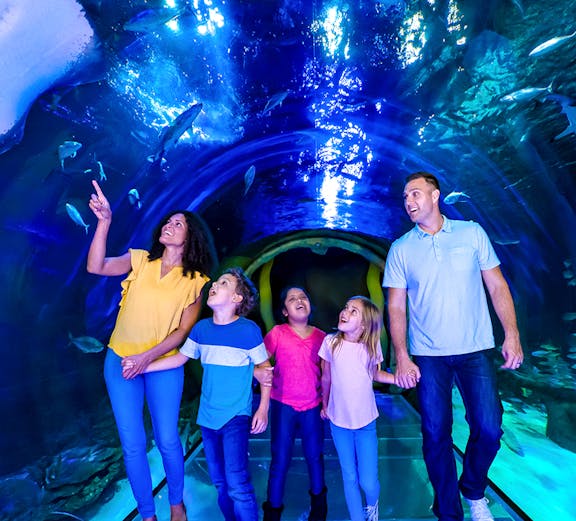 Family exploring underwater tunnel at SEA LIFE Orlando with sharks swimming above.