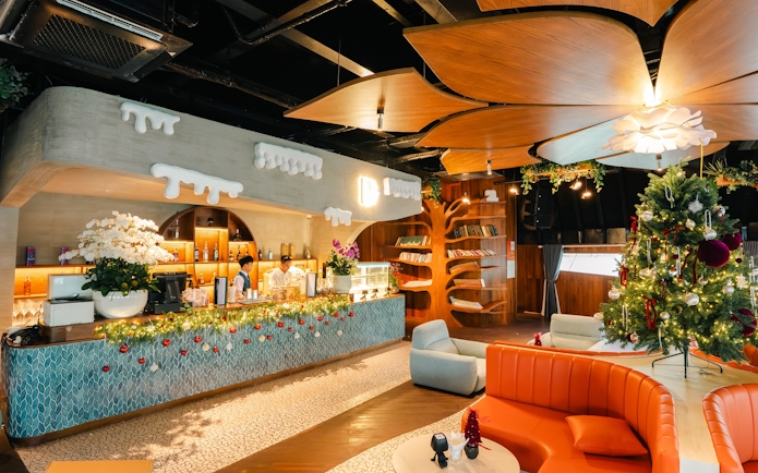 Lounge area of Dolphin cruise with festive decor, bar, and seating.