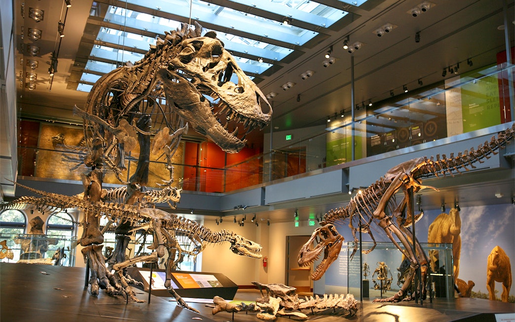 Dinosaur skeletons on display at the Natural History Museum of Los Angeles.