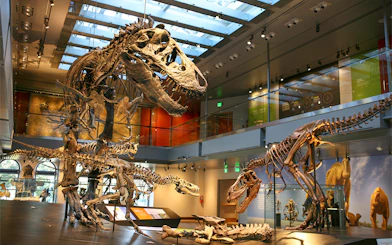 Dinosaur skeletons on display at the Natural History Museum of Los Angeles.