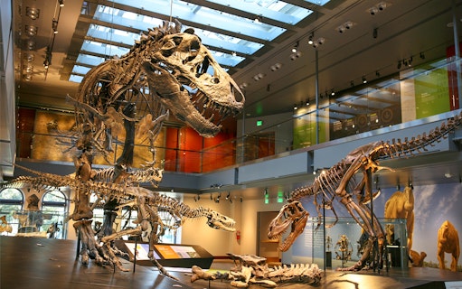 Dinosaur skeletons on display at the Natural History Museum of Los Angeles.