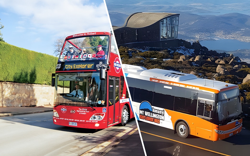 Hobart City Explorer and kunanyi/Mt Wellington buses on scenic tour routes.