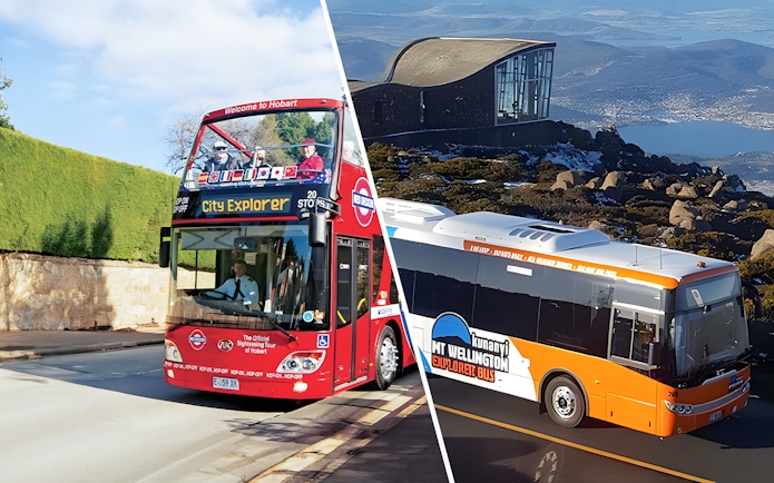 Hobart City Explorer and kunanyi/Mt Wellington buses on scenic tour routes.