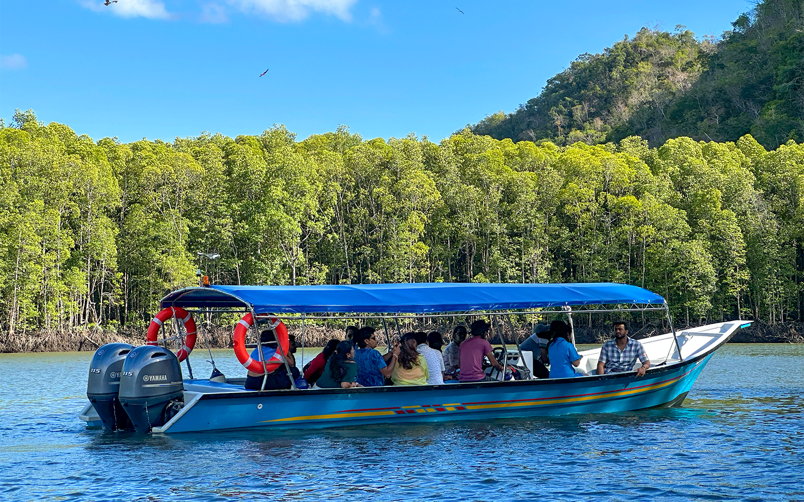 Tour boat with passengers cruising through mangrove forest river on Langkawi tour.