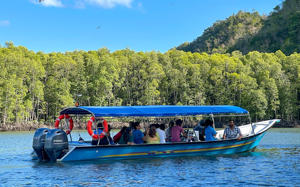Tour boat with passengers cruising through mangrove forest river on Langkawi tour.