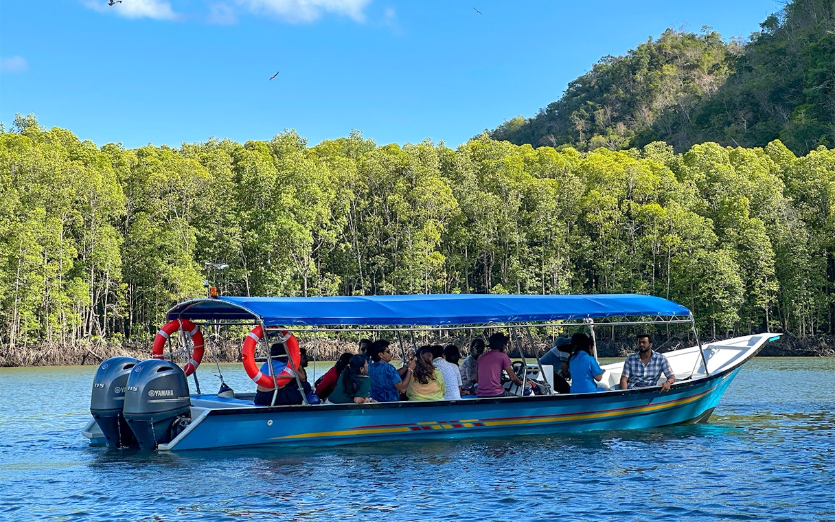 Tour boat with passengers cruising through mangrove forest river on Langkawi tour.