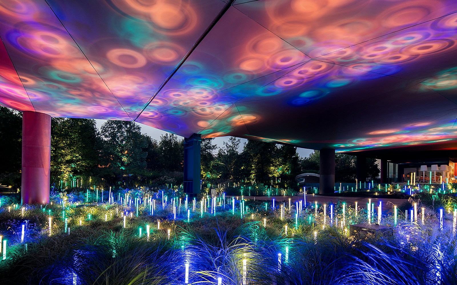 Expositions du musée du quai Branly