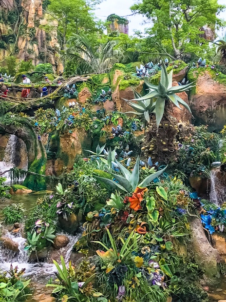 Pandora's lush landscape with waterfalls and exotic plants at Disney's Animal Kingdom, Orlando.