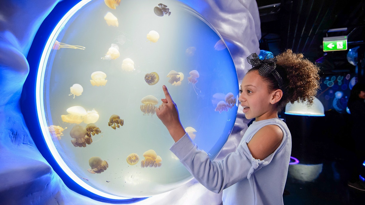 sea life aquarium londres