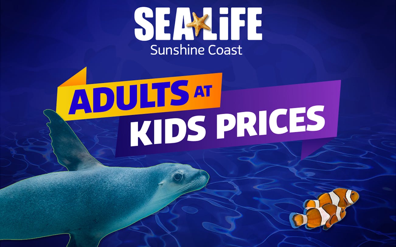 SEA LIFE Sunshine Coast Aquarium promotion with seal and clownfish.