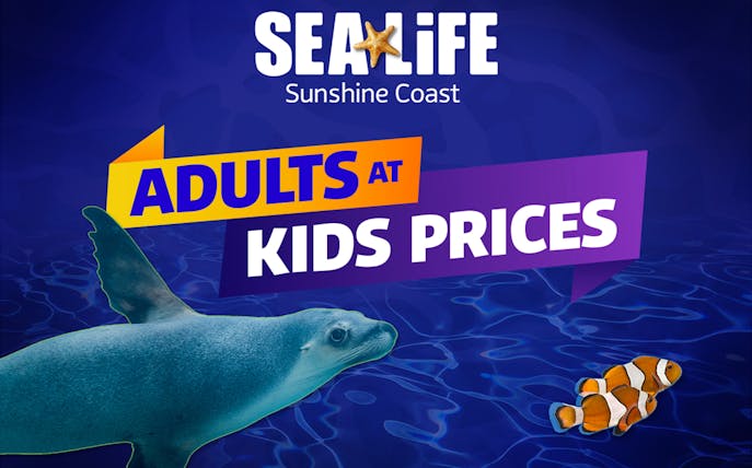 SEA LIFE Sunshine Coast Aquarium promotion with seal and clownfish.