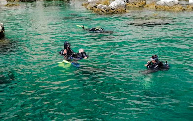 Antalya 2-Dive Scuba Boat Trip with Lunch and Hotel Transfers