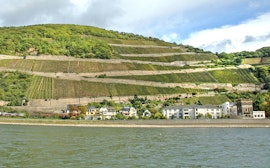 Rüdesheim