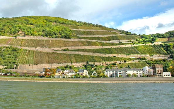 Terraced vineyards in Rhine Valley seen during a day trip from Frankfurt.
