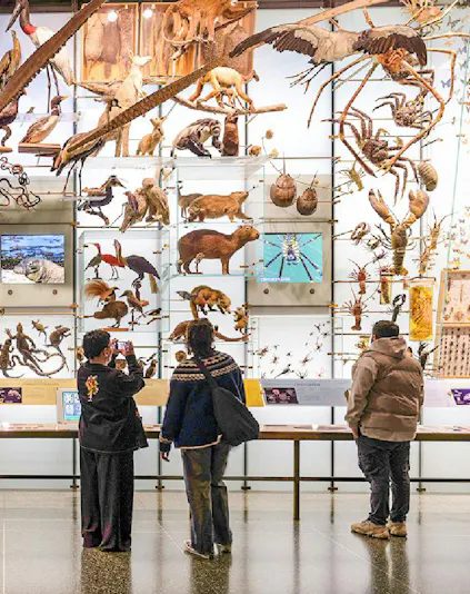 Visitors viewing animal exhibits at the American Museum of Natural History.