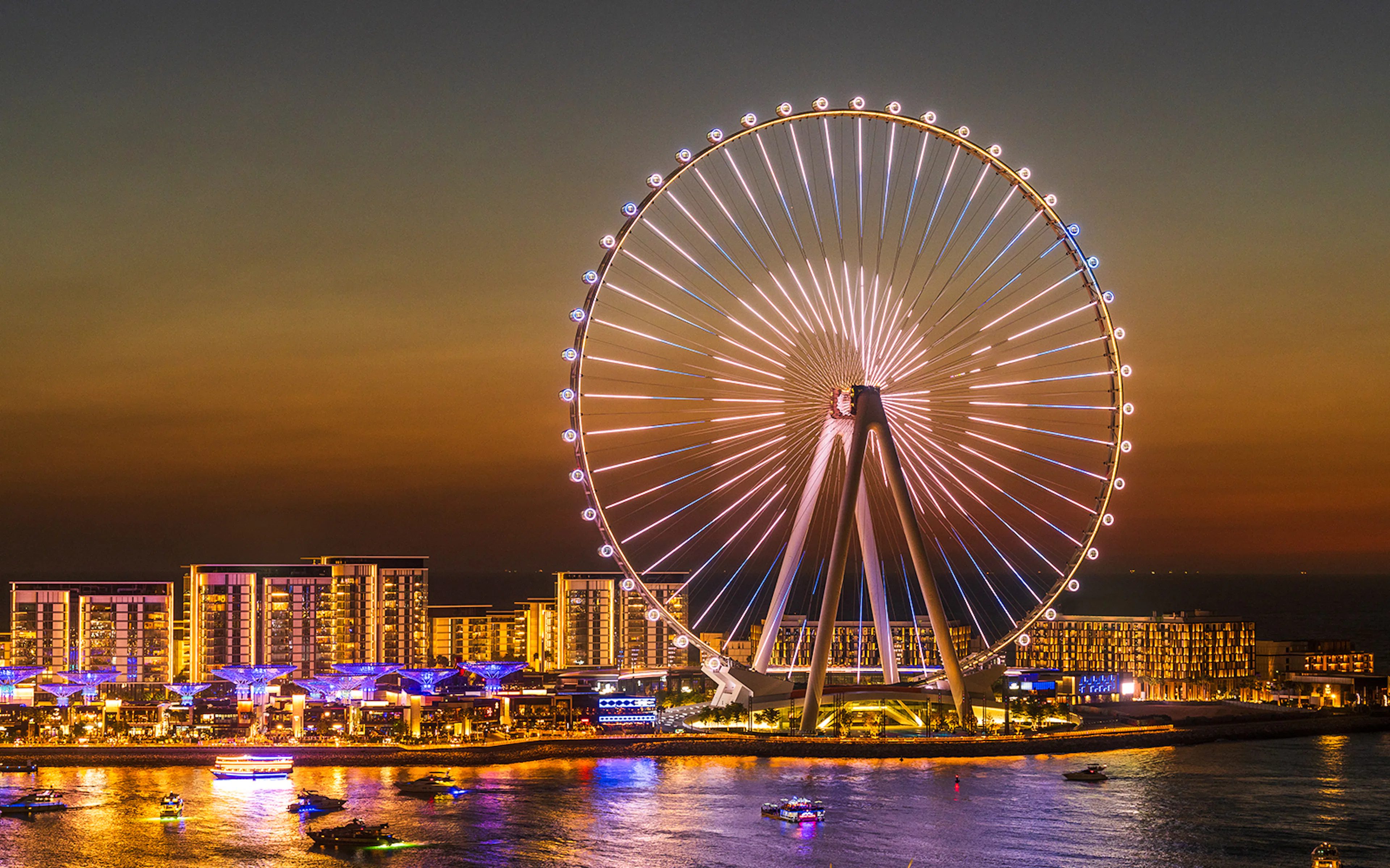 Ain Dubai Observation Wheel illuminated at sunset with cityscape and water below.