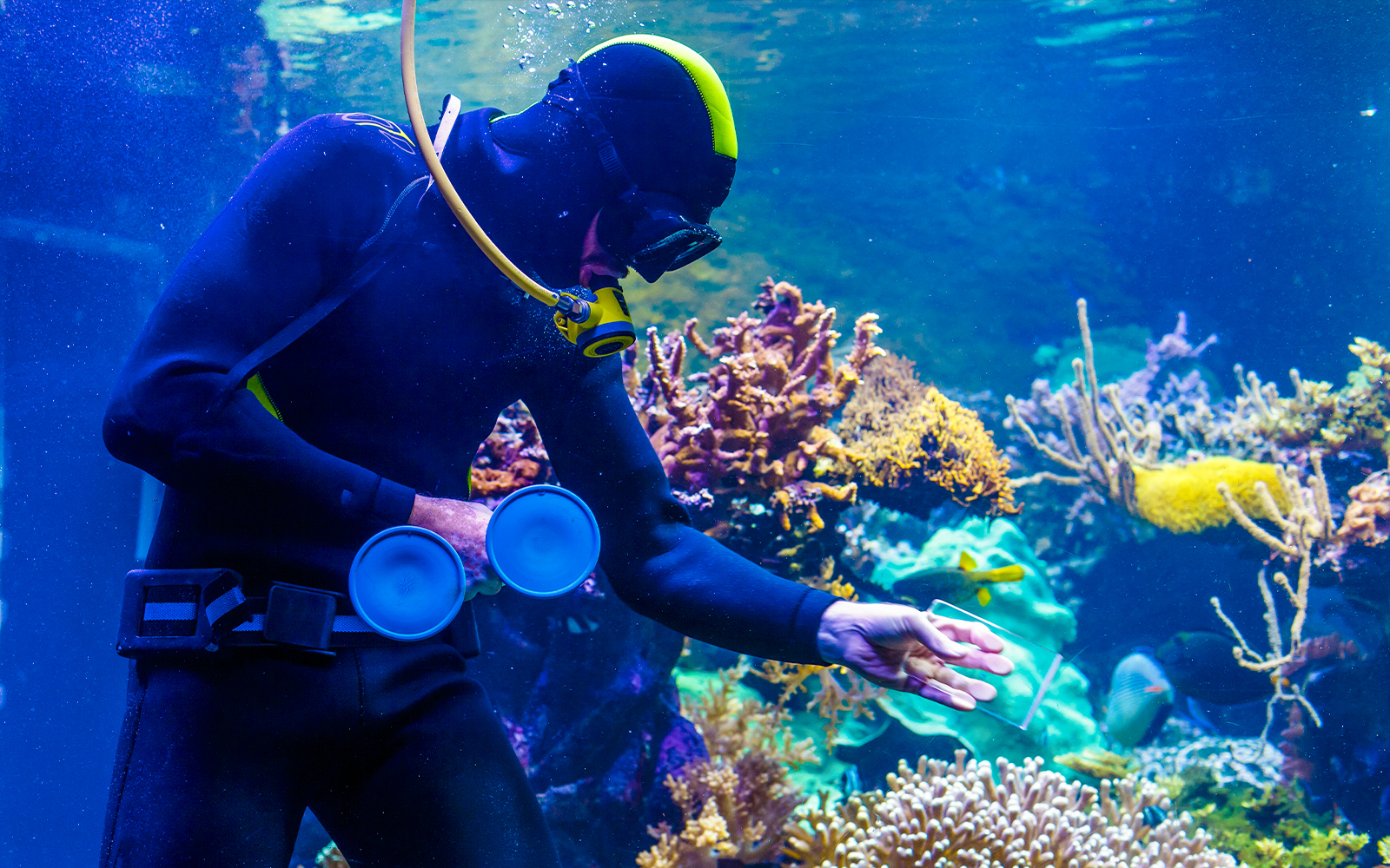 maintaining the tanks