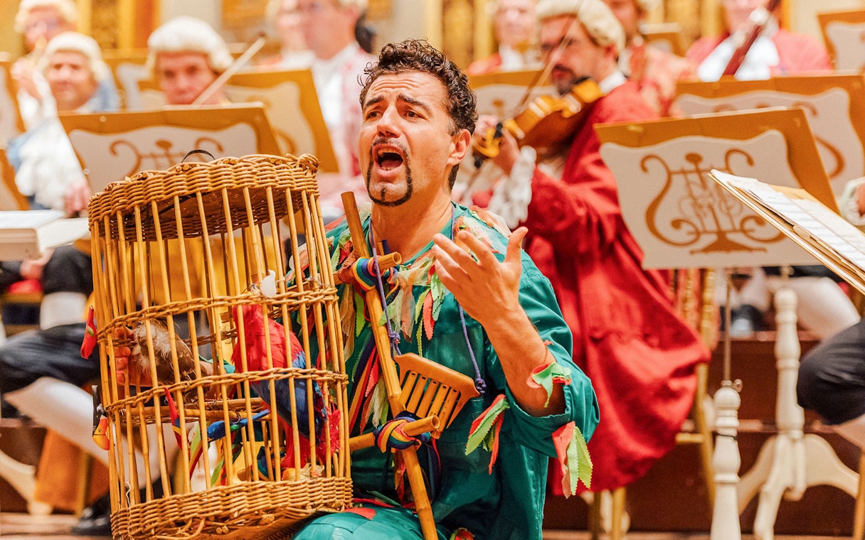 Musician performing with orchestra at Vienna's Musikverein Golden Hall.