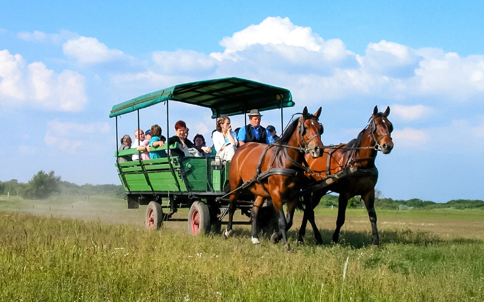 Guests on a horse carriage ride during Puszta Day Trip to Kecskemét from Budapest.
