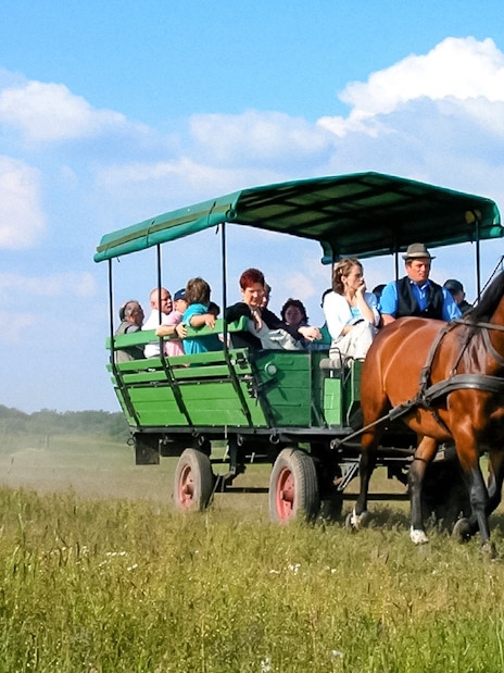 Guests on a horse carriage ride during Puszta Day Trip to Kecskemét from Budapest.