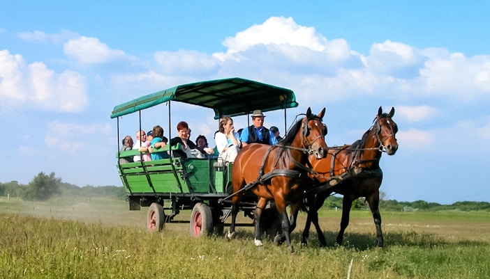 Guests on a horse carriage ride during Puszta Day Trip to Kecskemét from Budapest.
