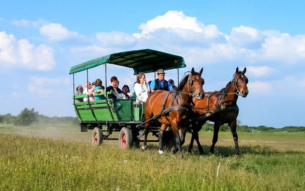 Guests on a horse carriage ride during Puszta Day Trip to Kecskemét from Budapest.