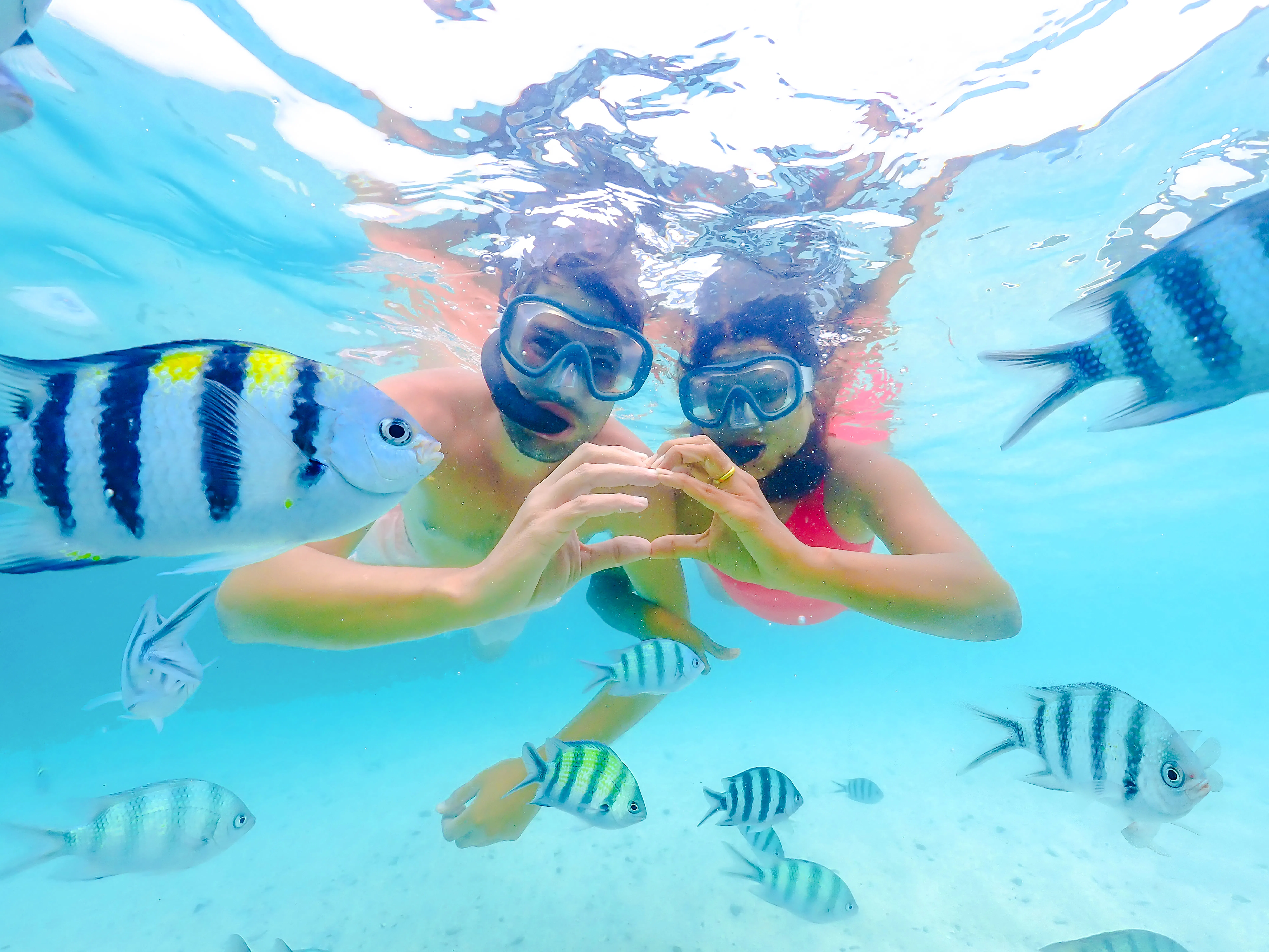 Snorkelers surrounded by tropical fish in Mahebourg, Mauritius.