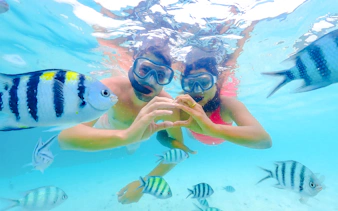 Snorkelers surrounded by tropical fish in Mahebourg, Mauritius.