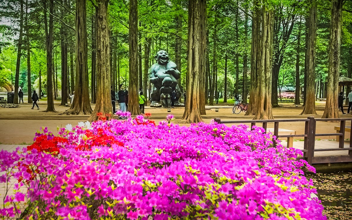 day trip to nami island with petite france & italian village from seoul-6 day trip to nami island with petite france & italian village from seoul-6